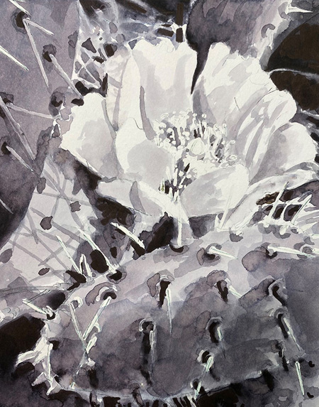 Untitled-11