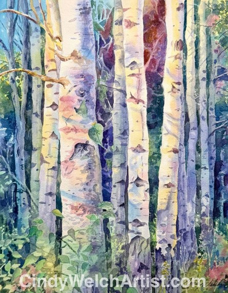 aspens